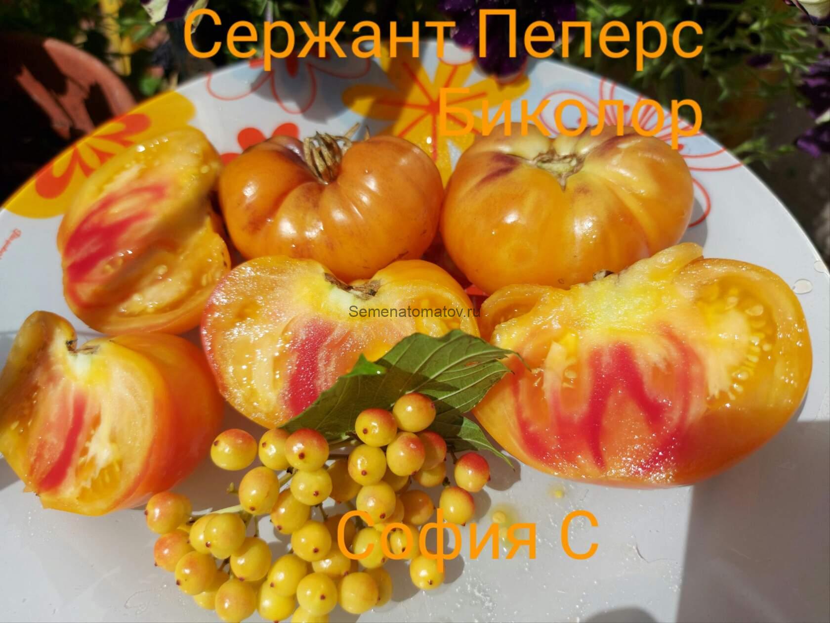 Сержант Пеппер Биколор (Sgt. Pepper’s Bicolor)