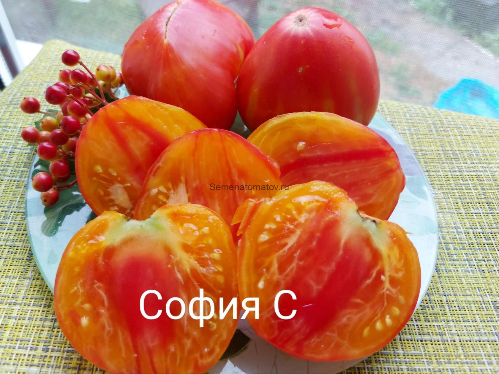 Томат сорт персик отзывы. Сладкий персик. joy of nature sweet peach.