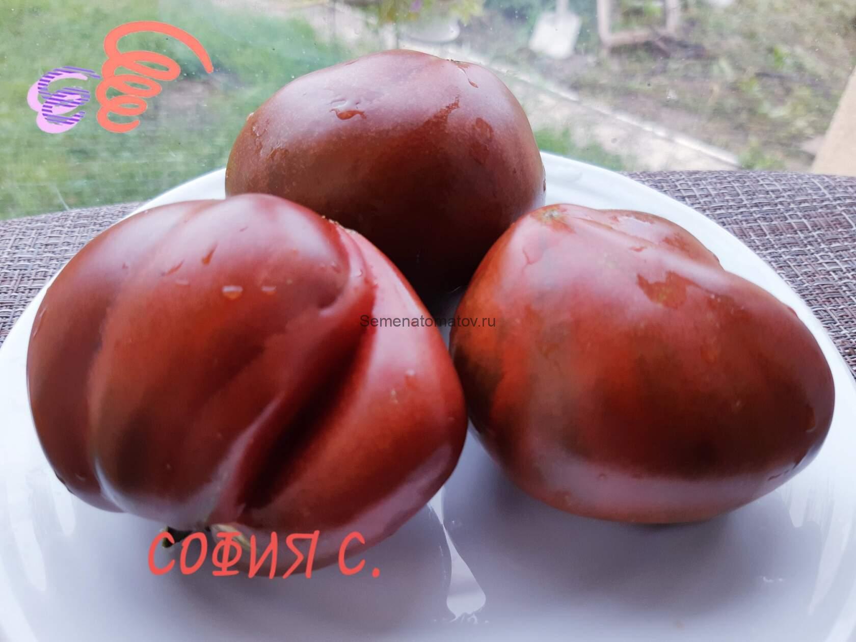 Шарбоннёз-дю-Берри (Charbonneuse du Berry) -