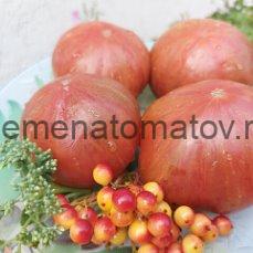 Red Amarillo Stripes Красные Полосы Амарилло