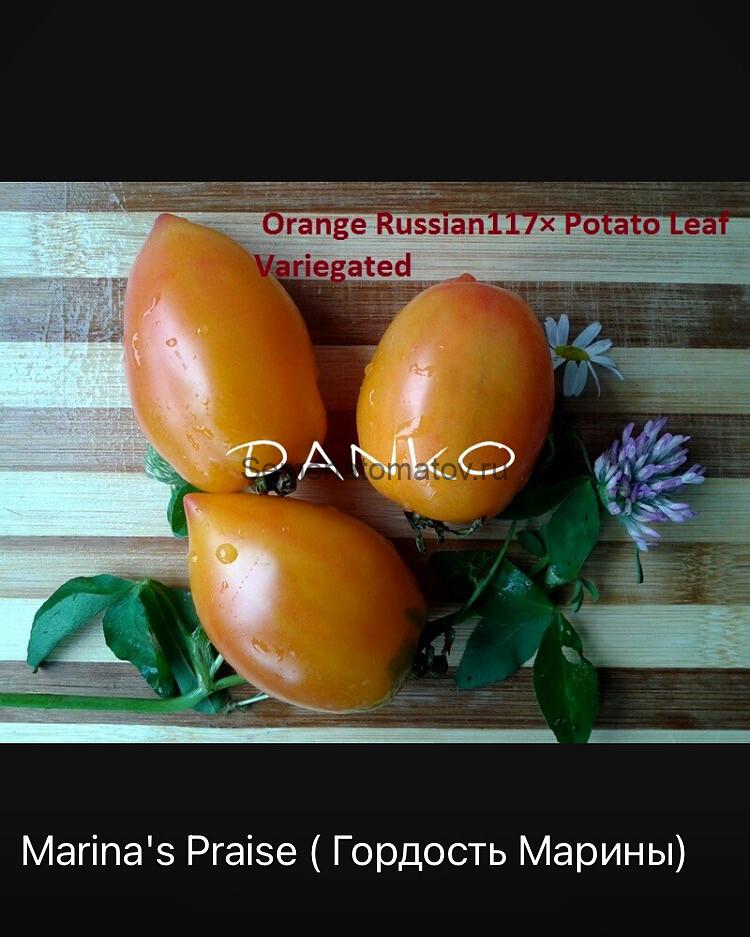 Marina's Praise - Гордость  или Похвала Марины