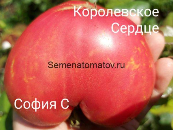 Королевское Сердце