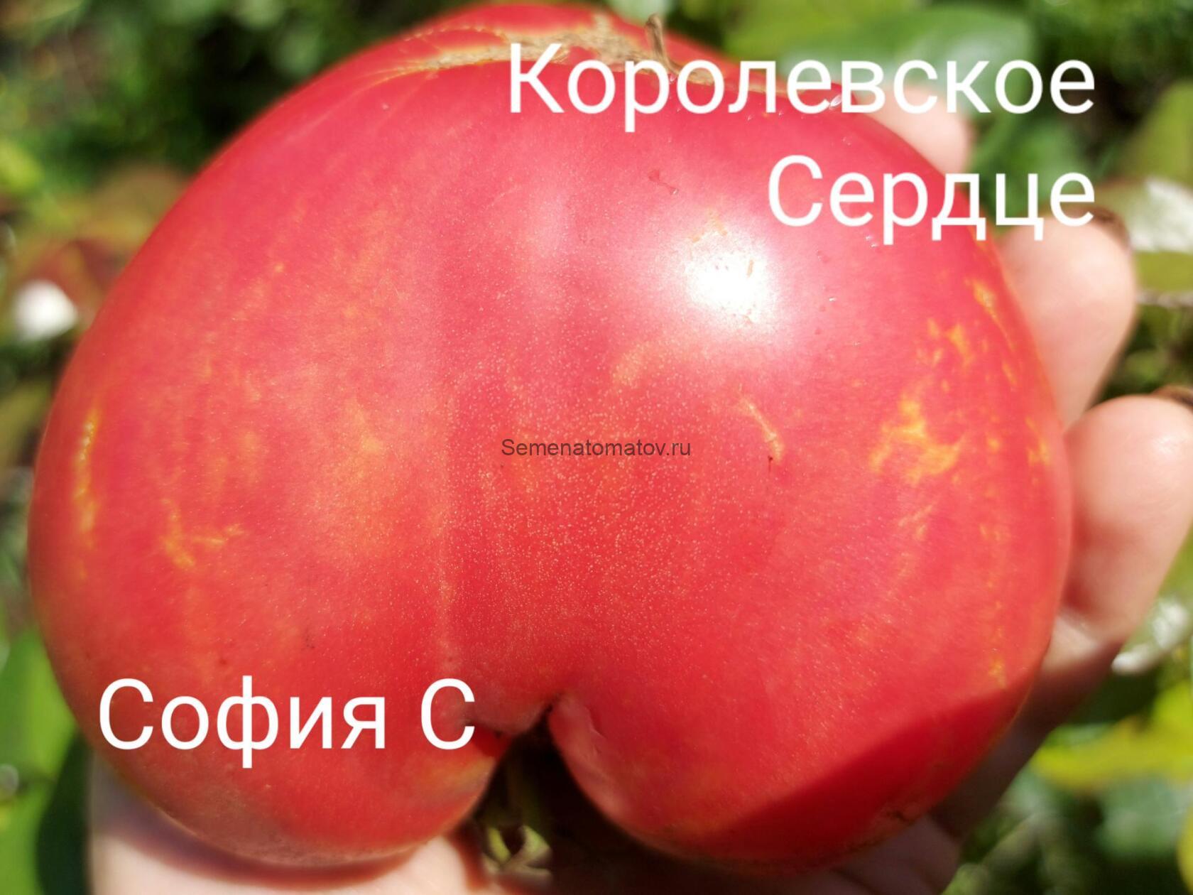 Королевское Сердце