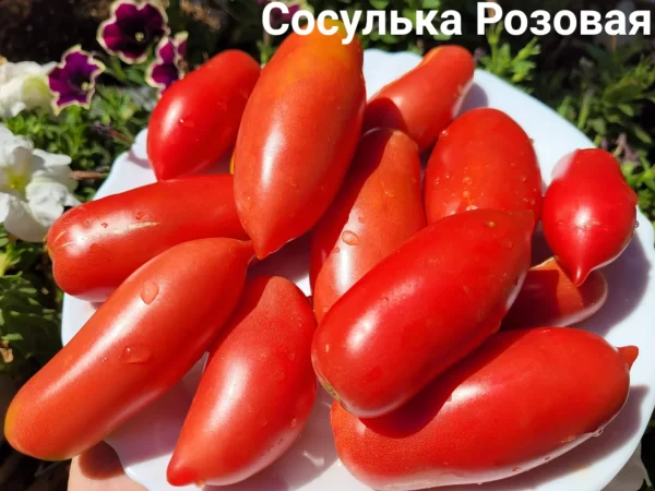 Сосулька розовая — изображение 2