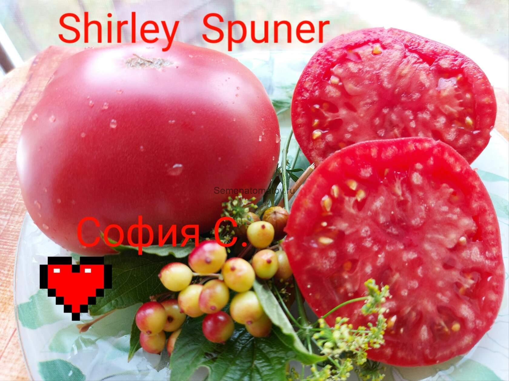 Ширли Спунер ( Shirley Spuner, США)