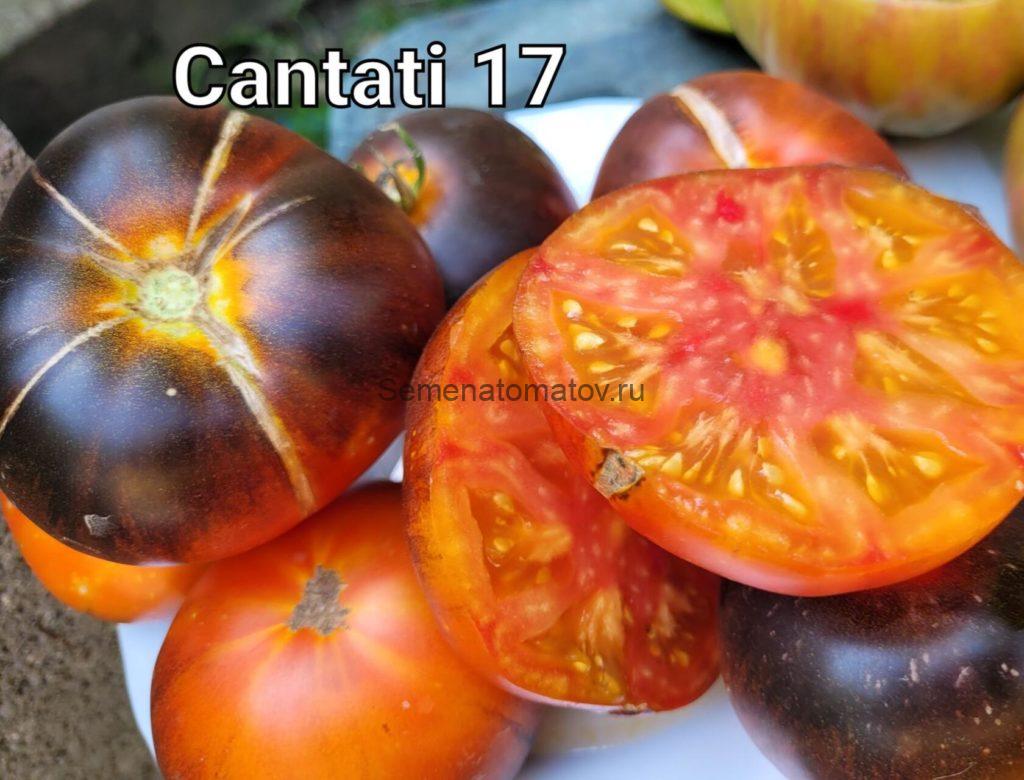 Cantati 17 — Семена Томатов