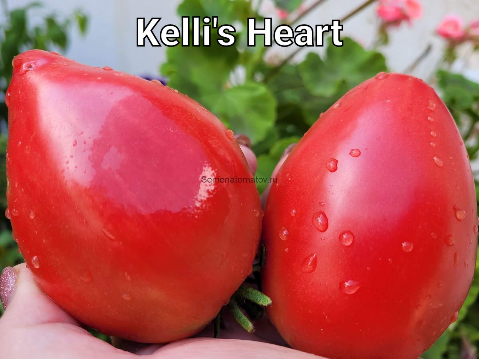 Сердце Келли (Kelli’s Heart)