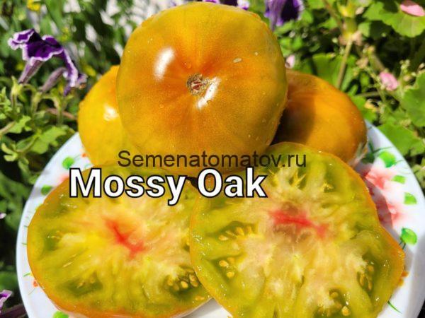 Mossy Oak  Мшистый  Дуб — изображение 2