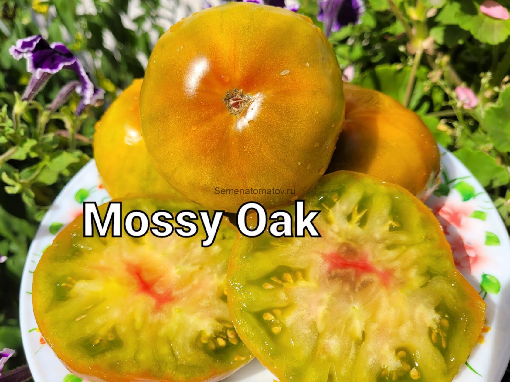 Mossy Oak Мшистый Дуб — изображение 2