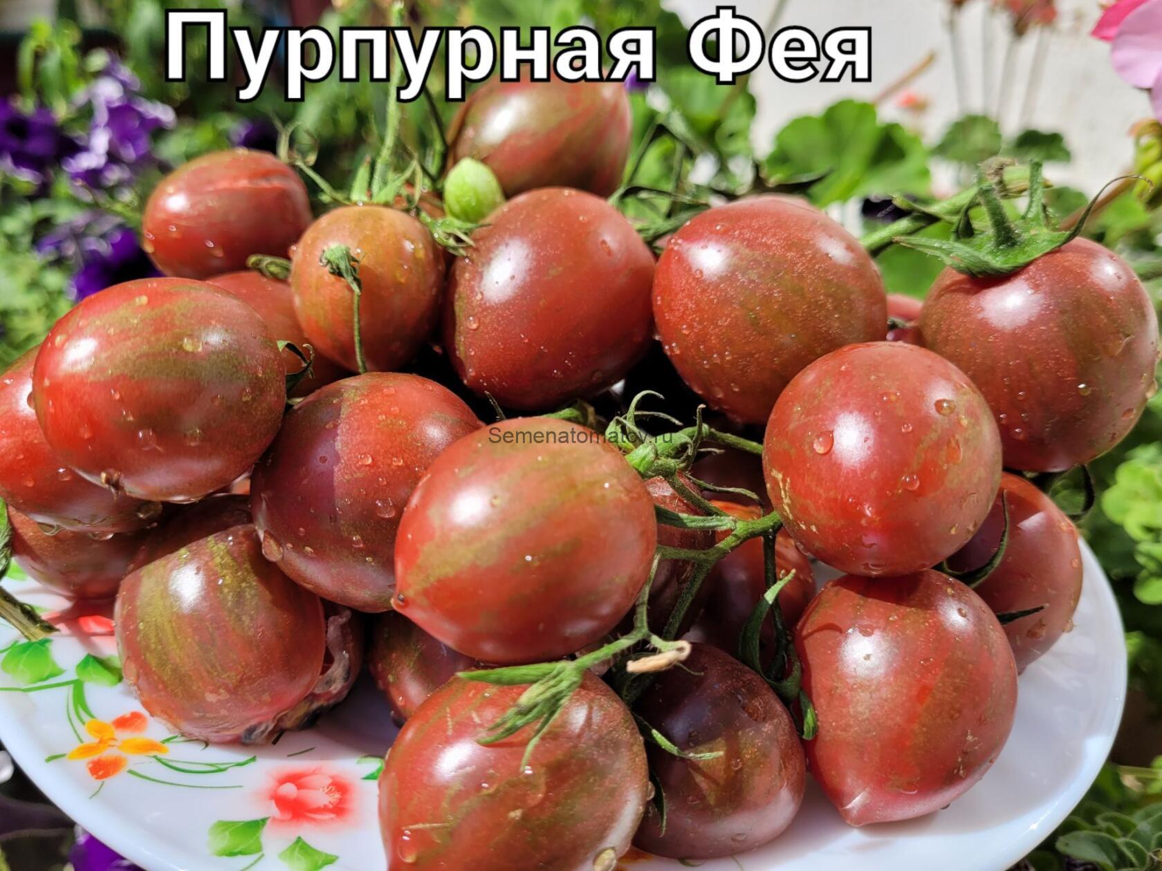 Purple fairy Dwarf \ Гном Фиолетовая фея