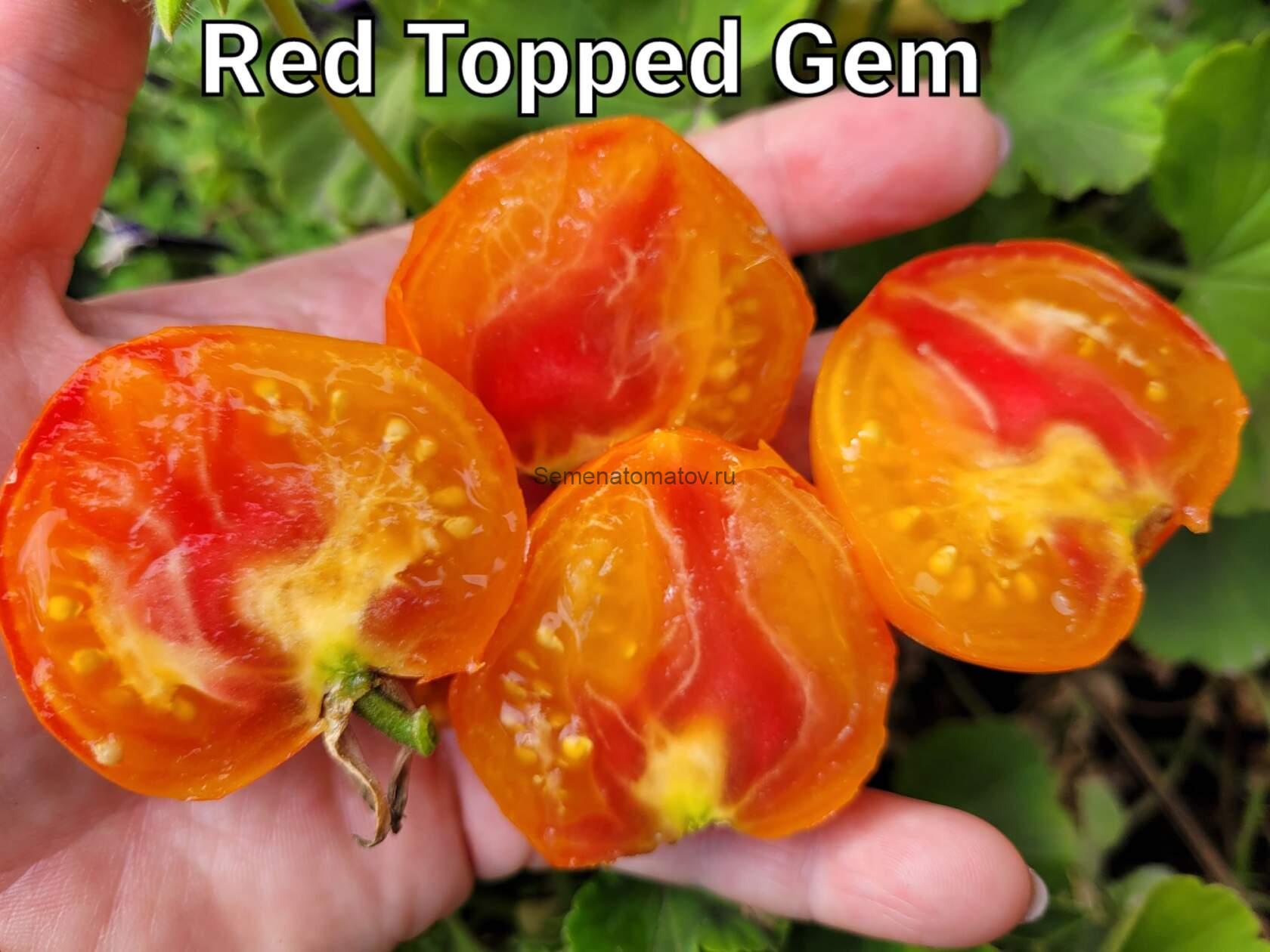 Red Topped Gem-Драгоценный камень с красной вершиной — изображение 2