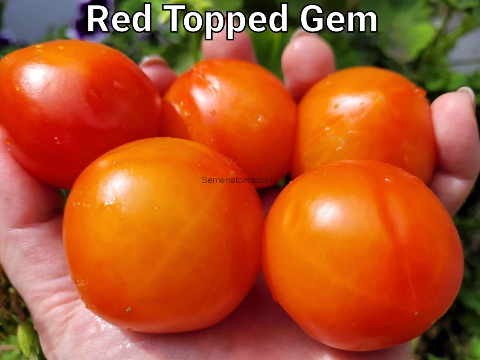 Red Topped Gem-Драгоценный камень с красной вершиной