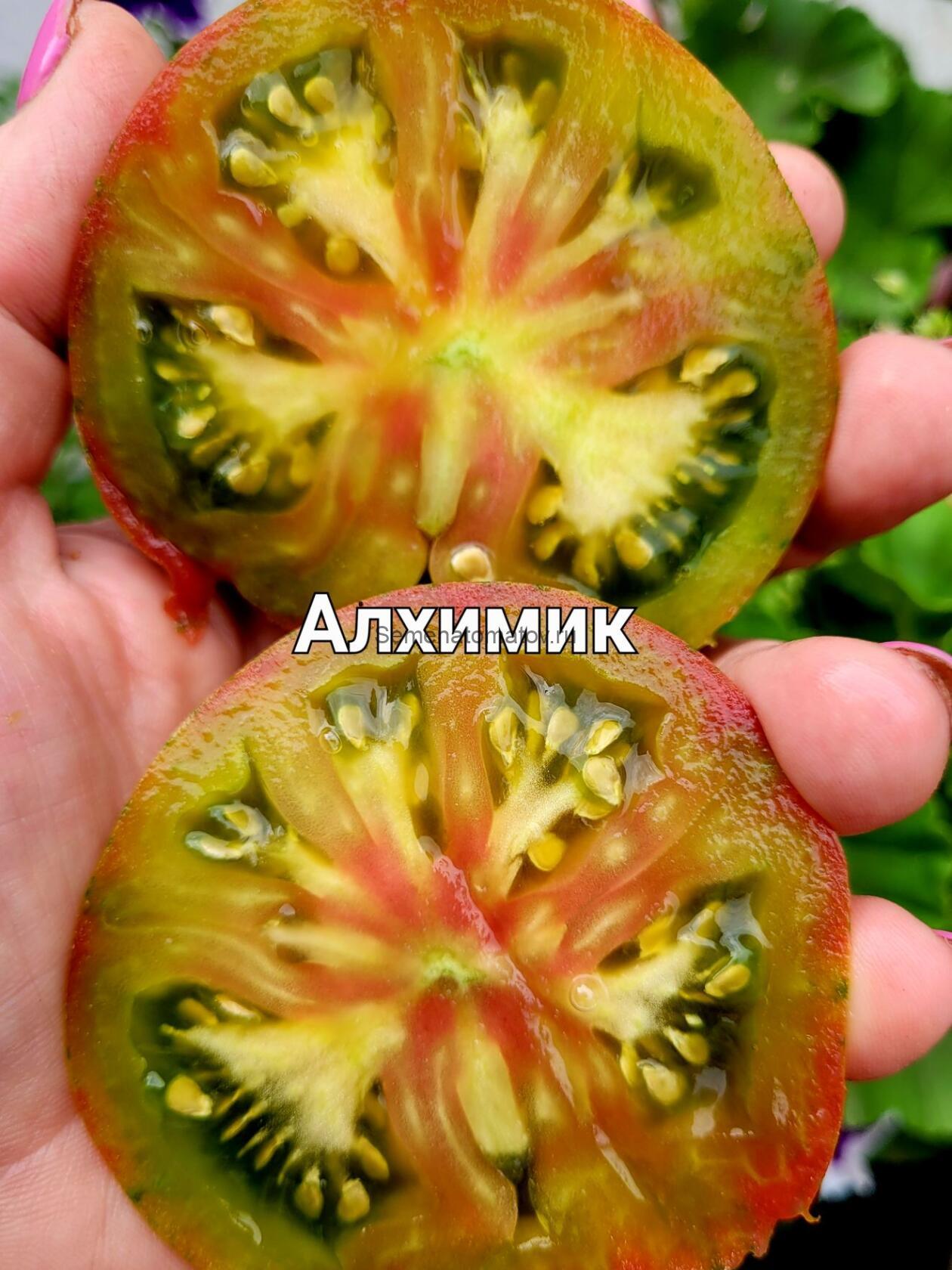 Алхимик — изображение 2