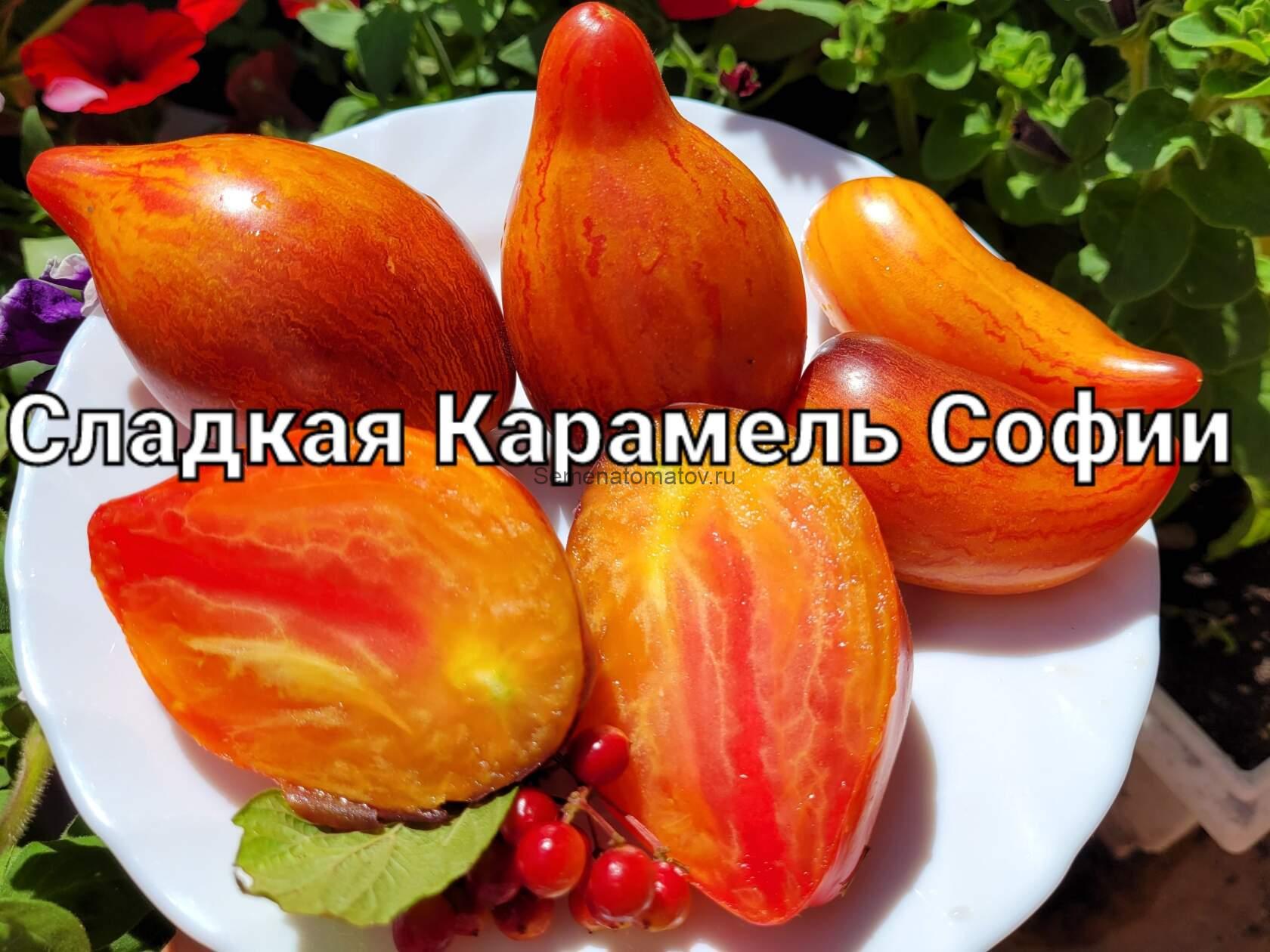 Сладкая Карамель Софии — изображение 3