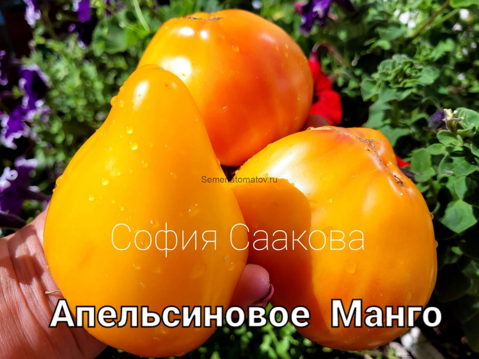 Апельсиновое Манго