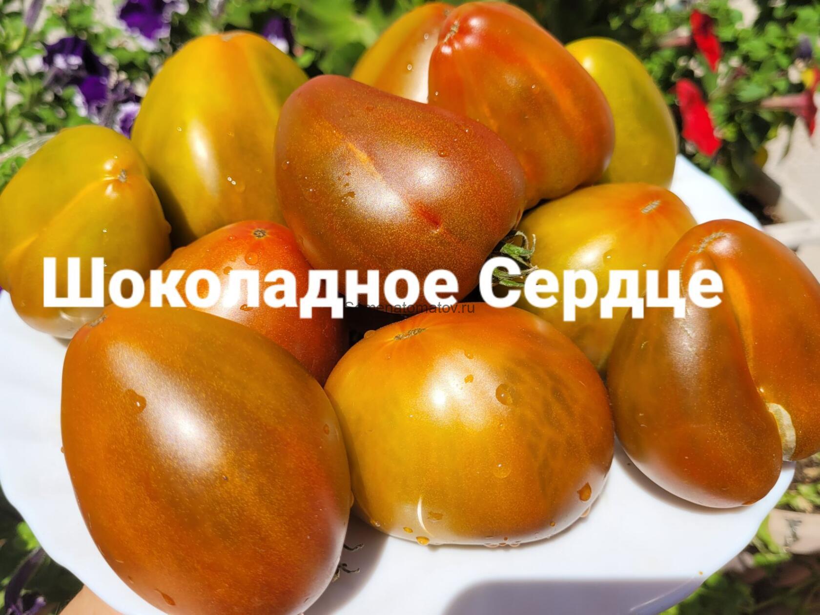 Бычье Сердце Шоколадное