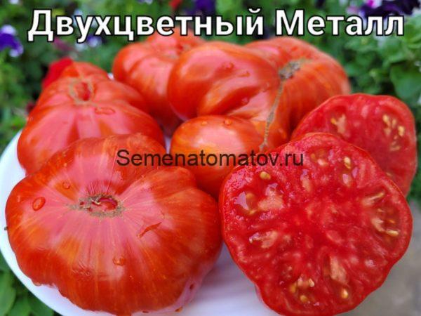 Двухцветный Металл ( Metaluna Bicolor, Хорватия)