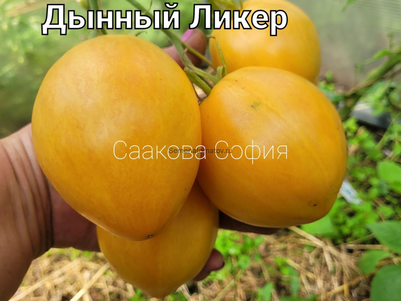 Дынный Ликер — изображение 2