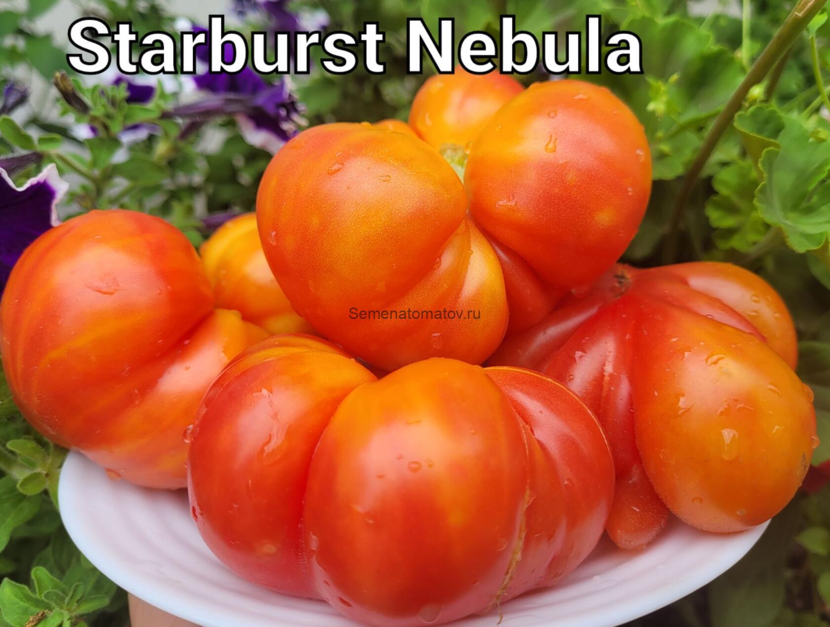 Звездная туманность (Starburst Nebula)