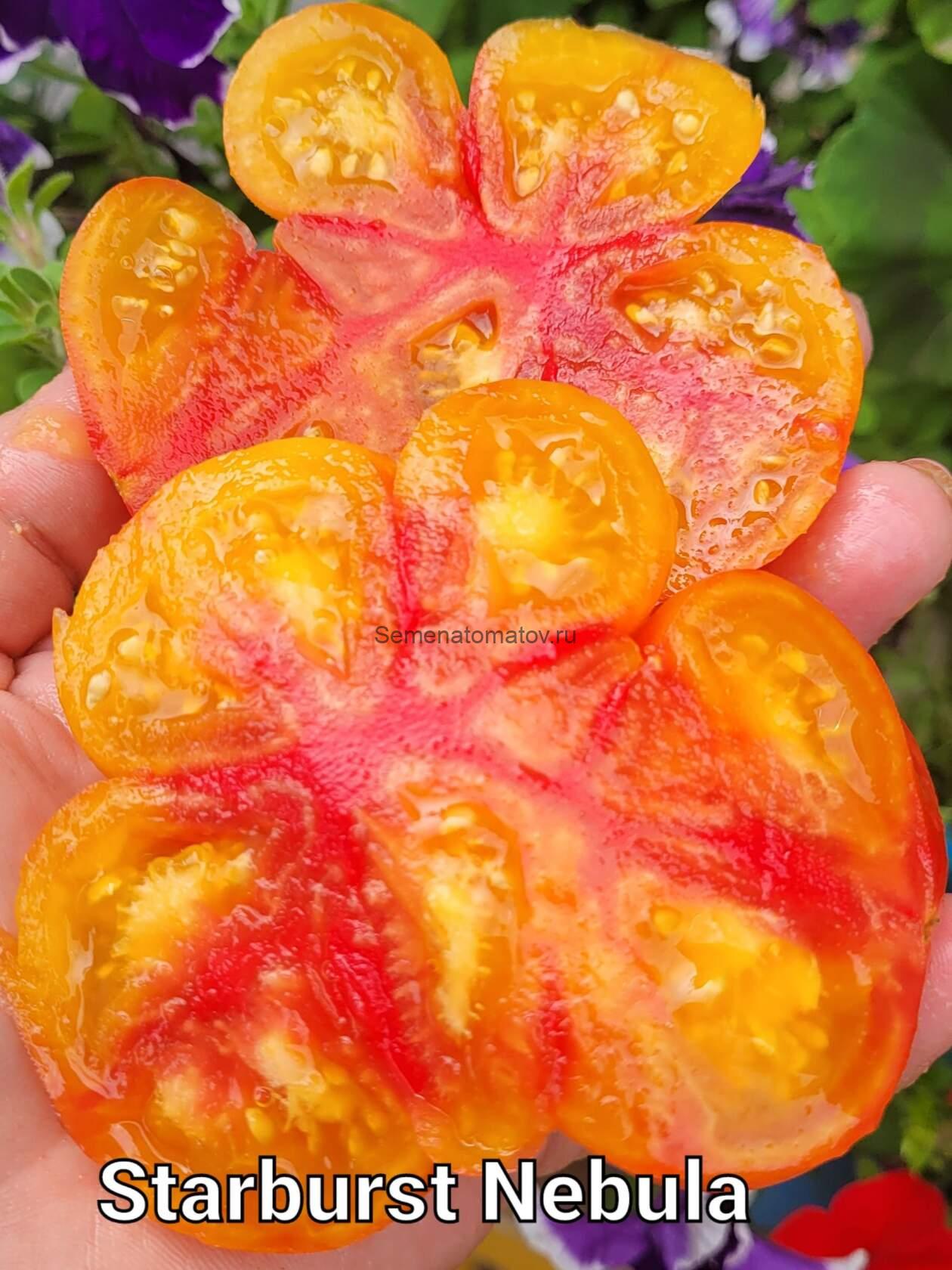 Звездная туманность (Starburst Nebula) — изображение 2