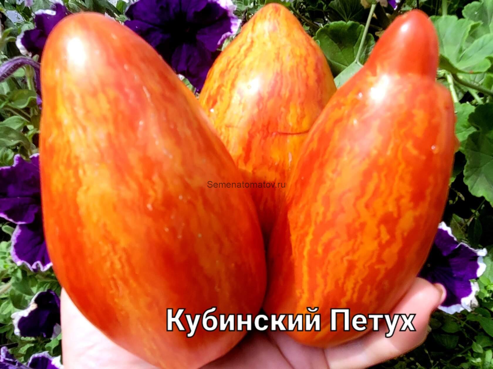 Кубинский Петух