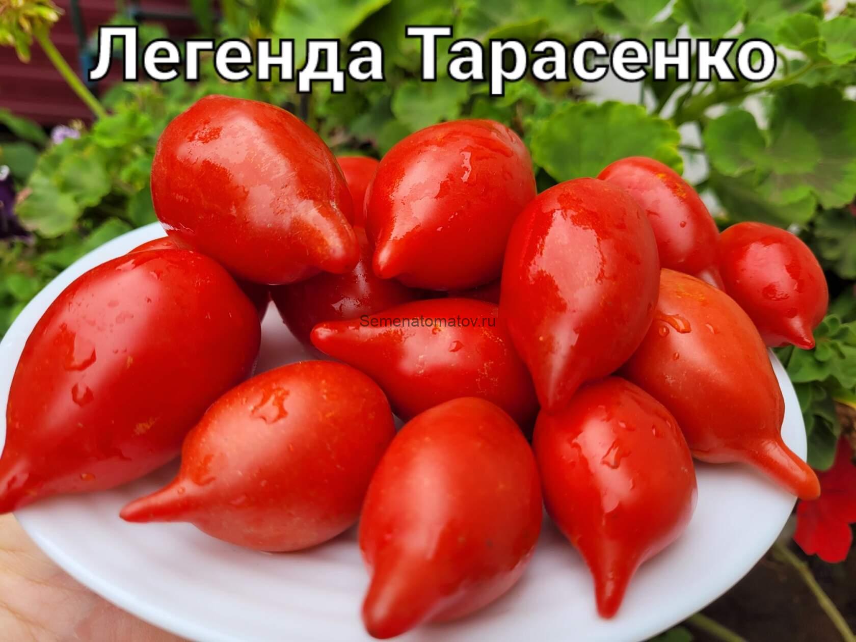 Легенла Тарасенко