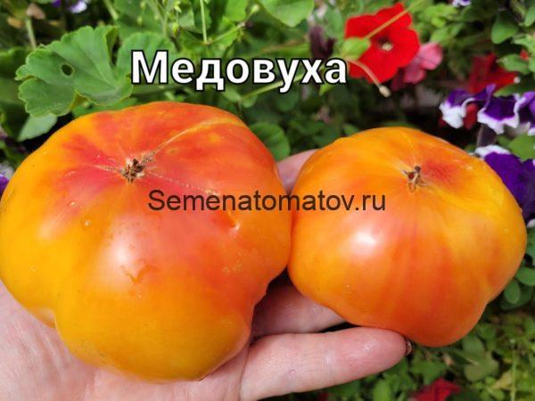 Медовуха