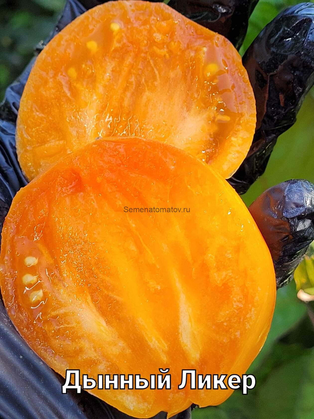 Дынный Ликер — изображение 3