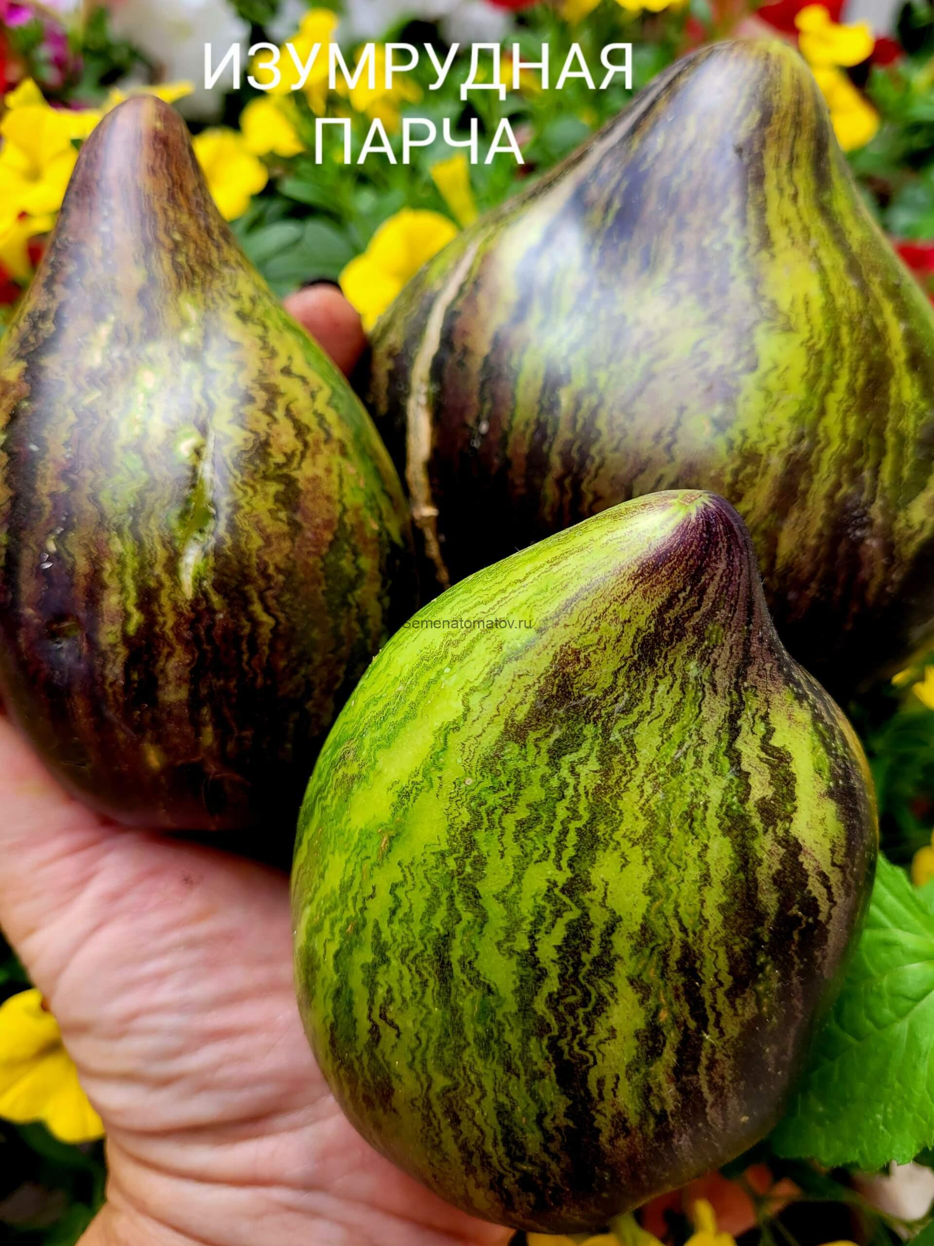 Изумрудная Парча