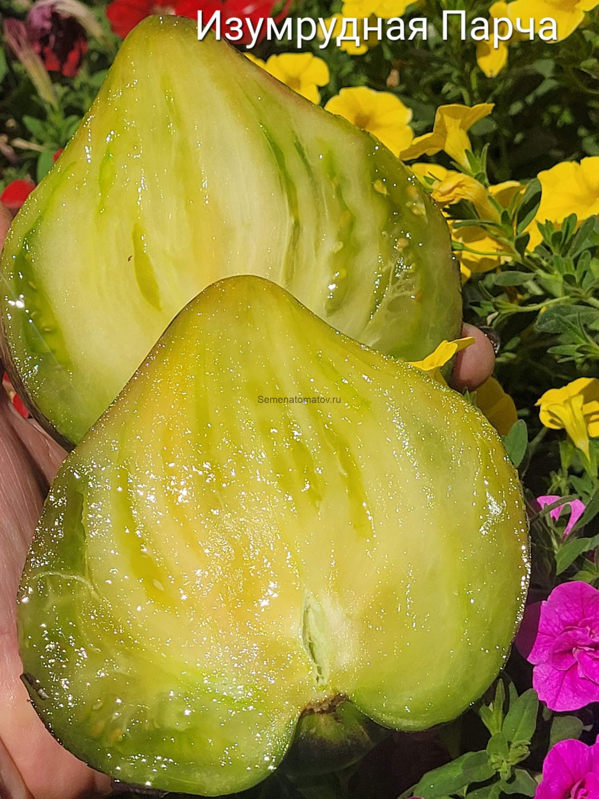 Изумрудная Парча — изображение 3