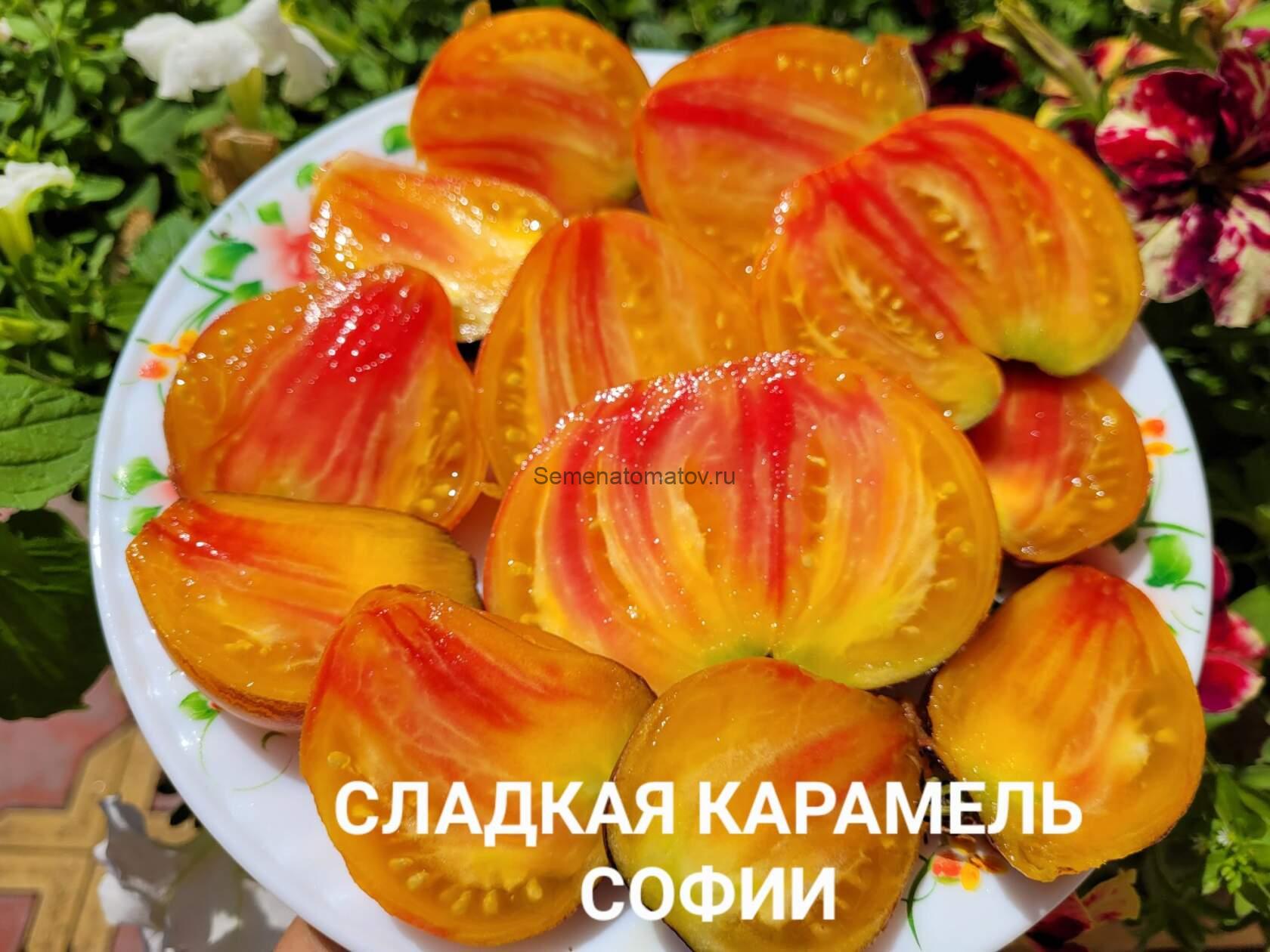 Сладкая Карамель Софии — изображение 6