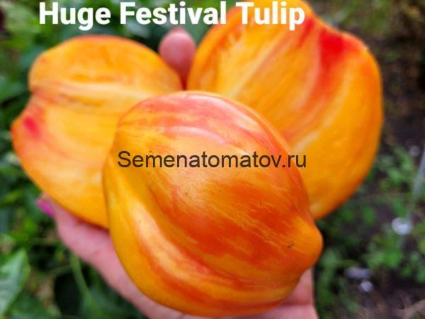 Huge Tulip Festival (Огромный Фестивальный Тюльпан) — изображение 3