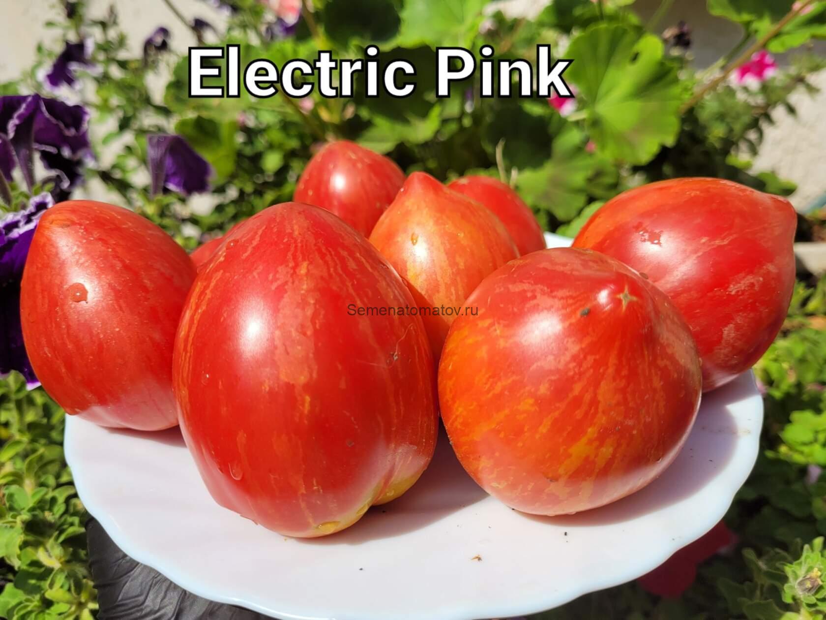 Гном Электрик пинк /Dwarf Electric pink — изображение 2