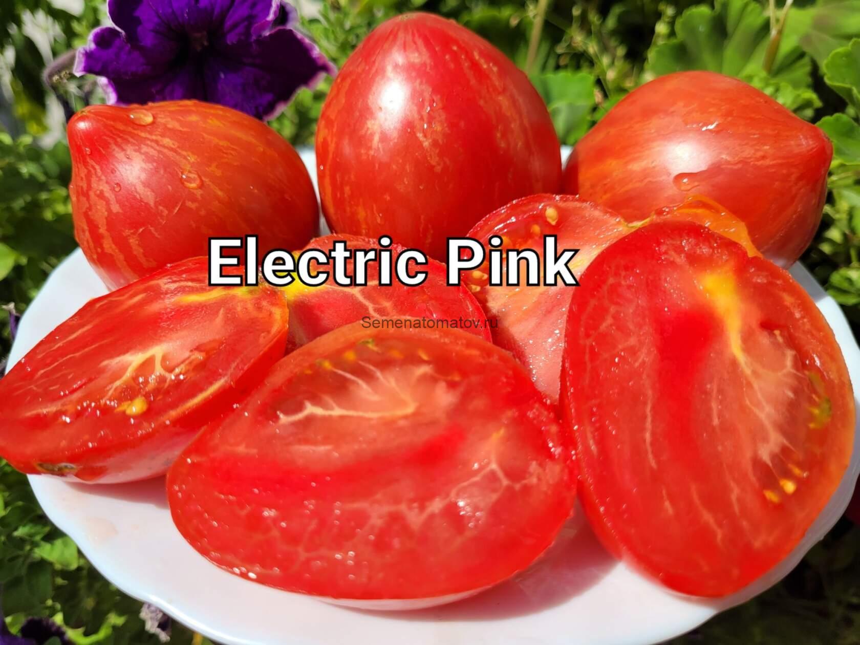 Гном Электрик пинк /Dwarf Electric pink