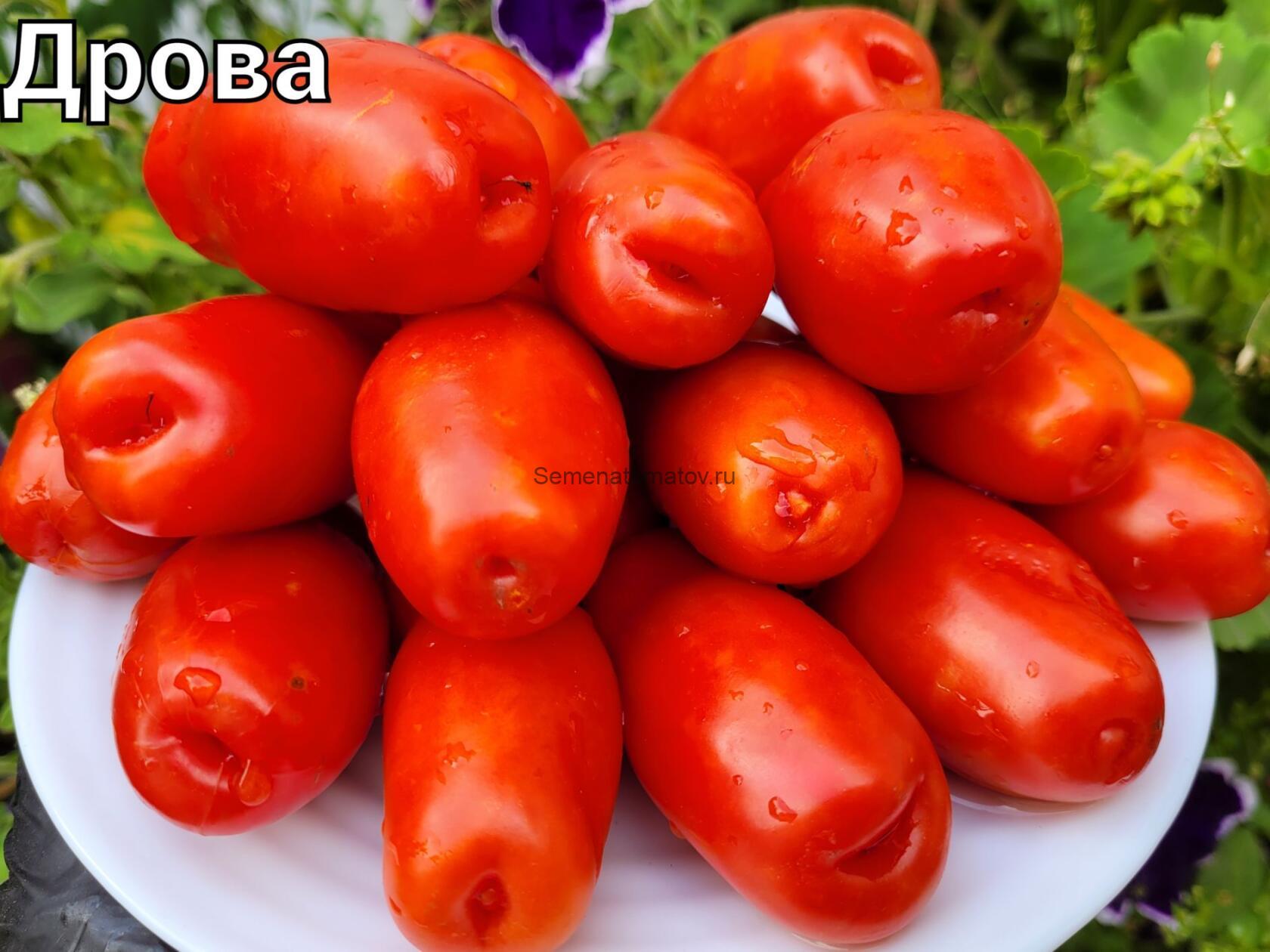 Томат "Дрова", Аэлита - "Очень урожайный сорт томатов "Дрова" для открытого грун