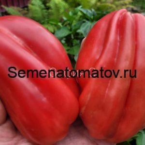 Загадка Долины Роз сердцевидная