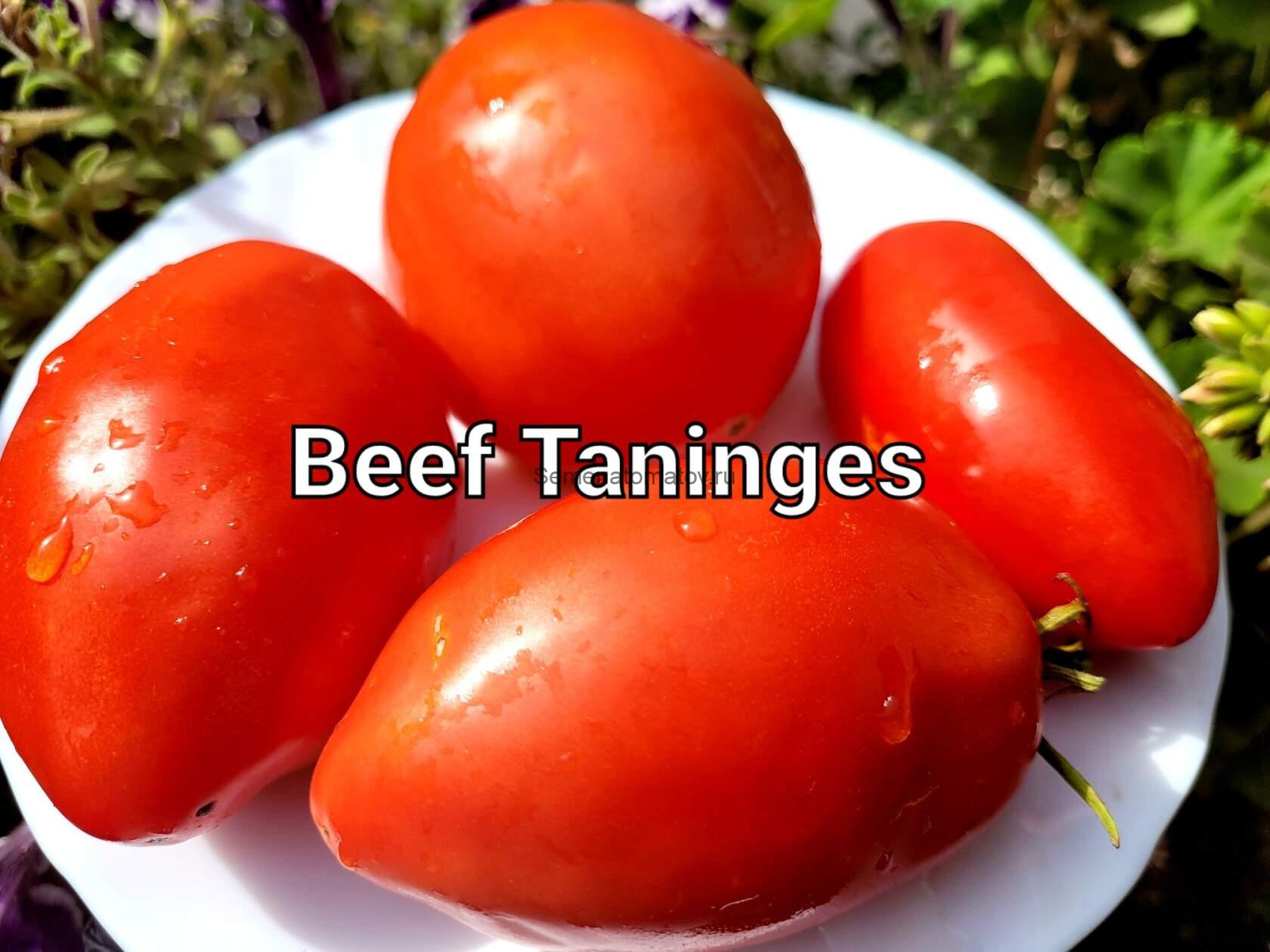 Beef Taninges -Говяжий Танинг (Стейк)