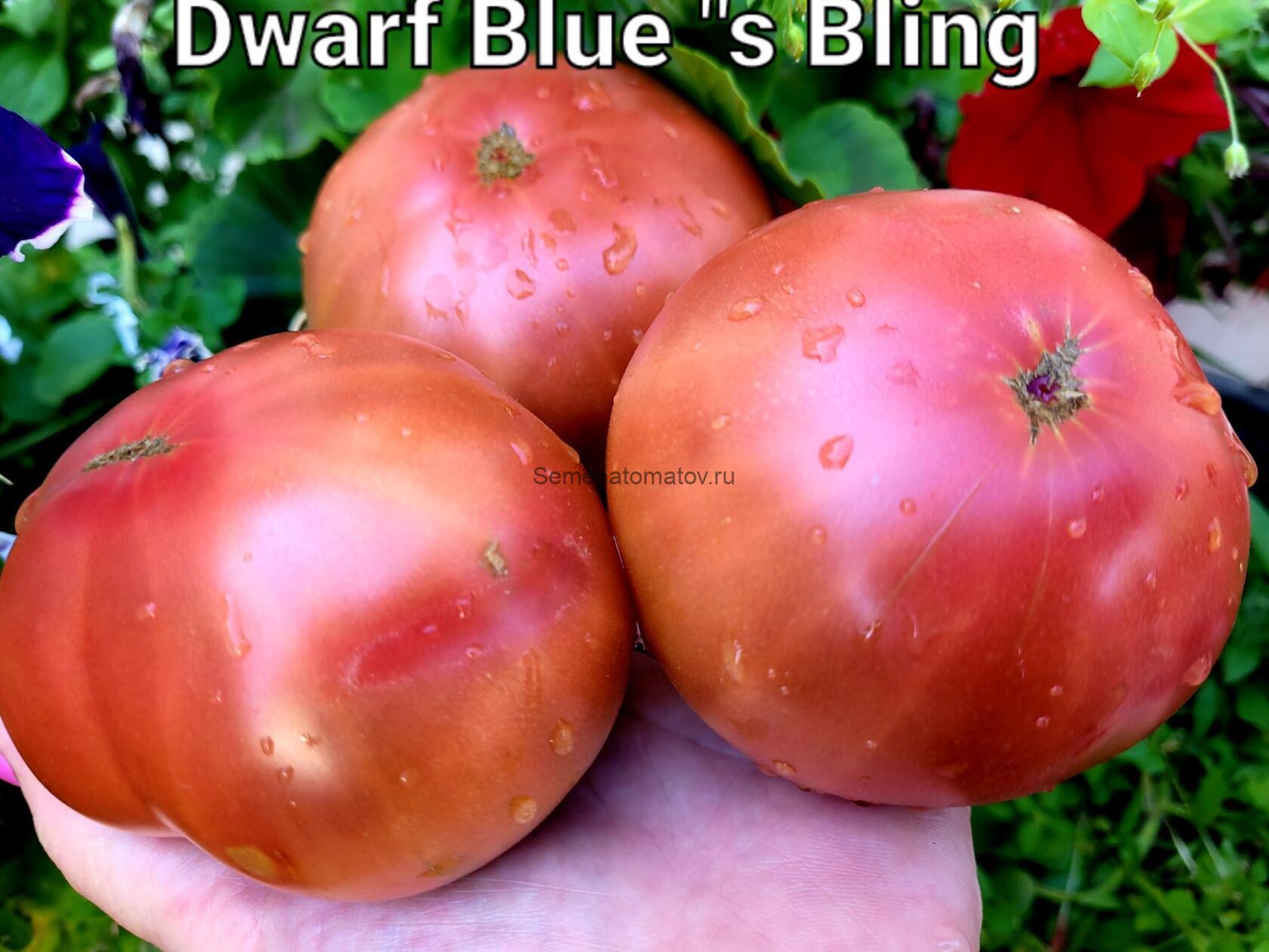 Dwarf Blue's Bling (Гном Голубые Побрякушки)