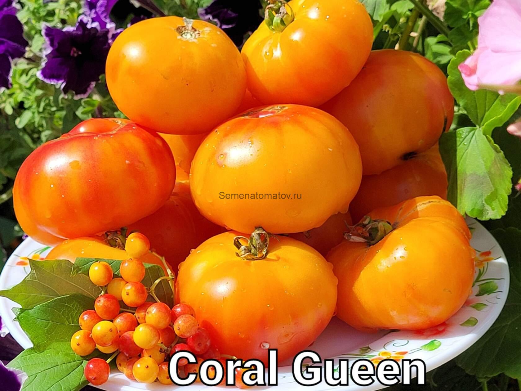 Coral queen  Коралловая королева