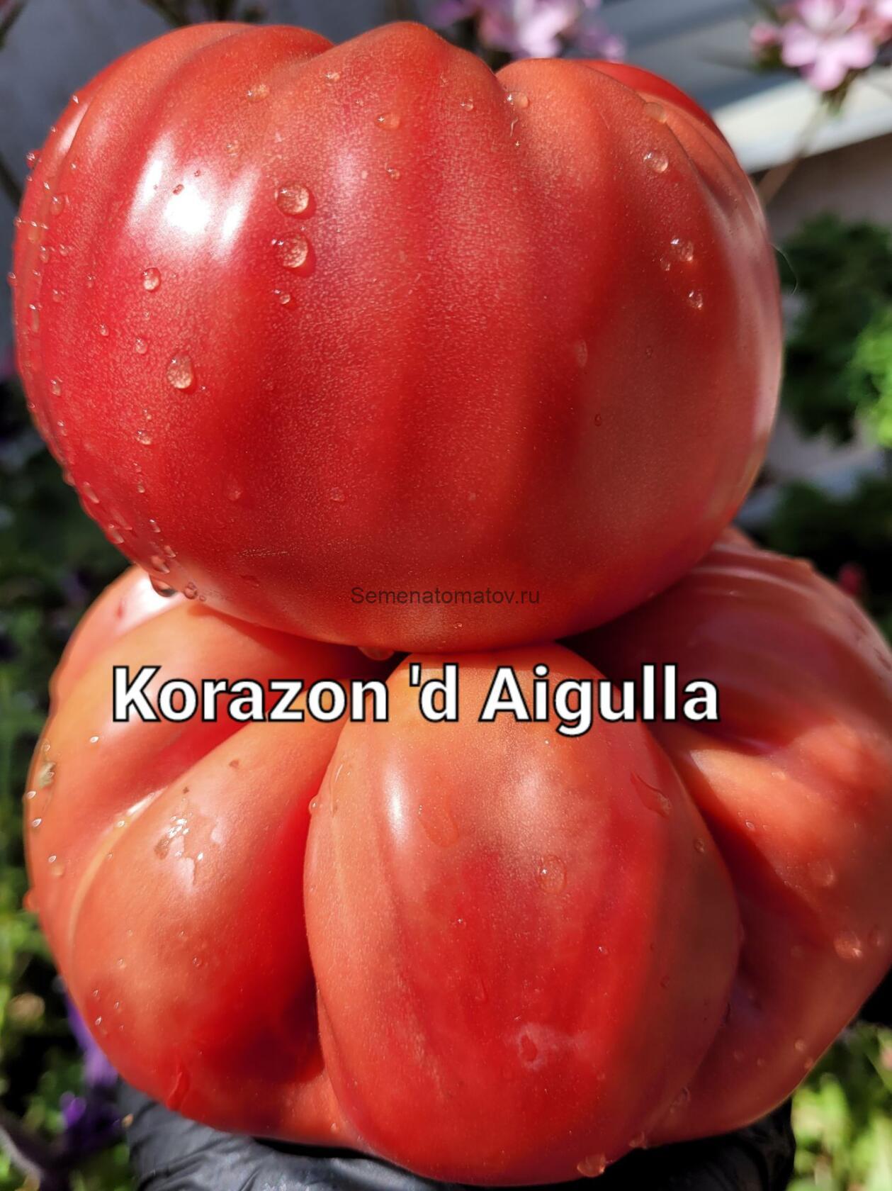 Corazon d’Aiguilla  Корасон Д'Эгилья  Испания