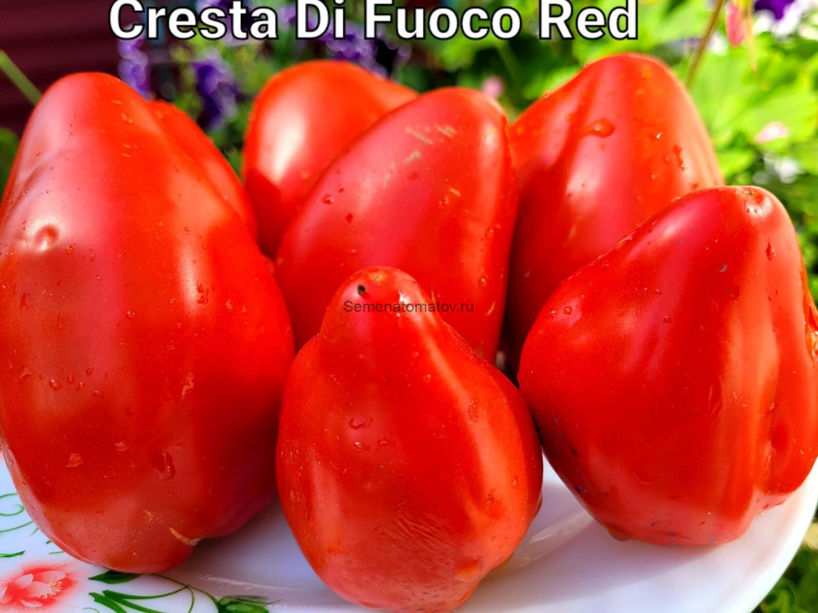 Cresta Di Fuoco Red Огненный Гребень Красный