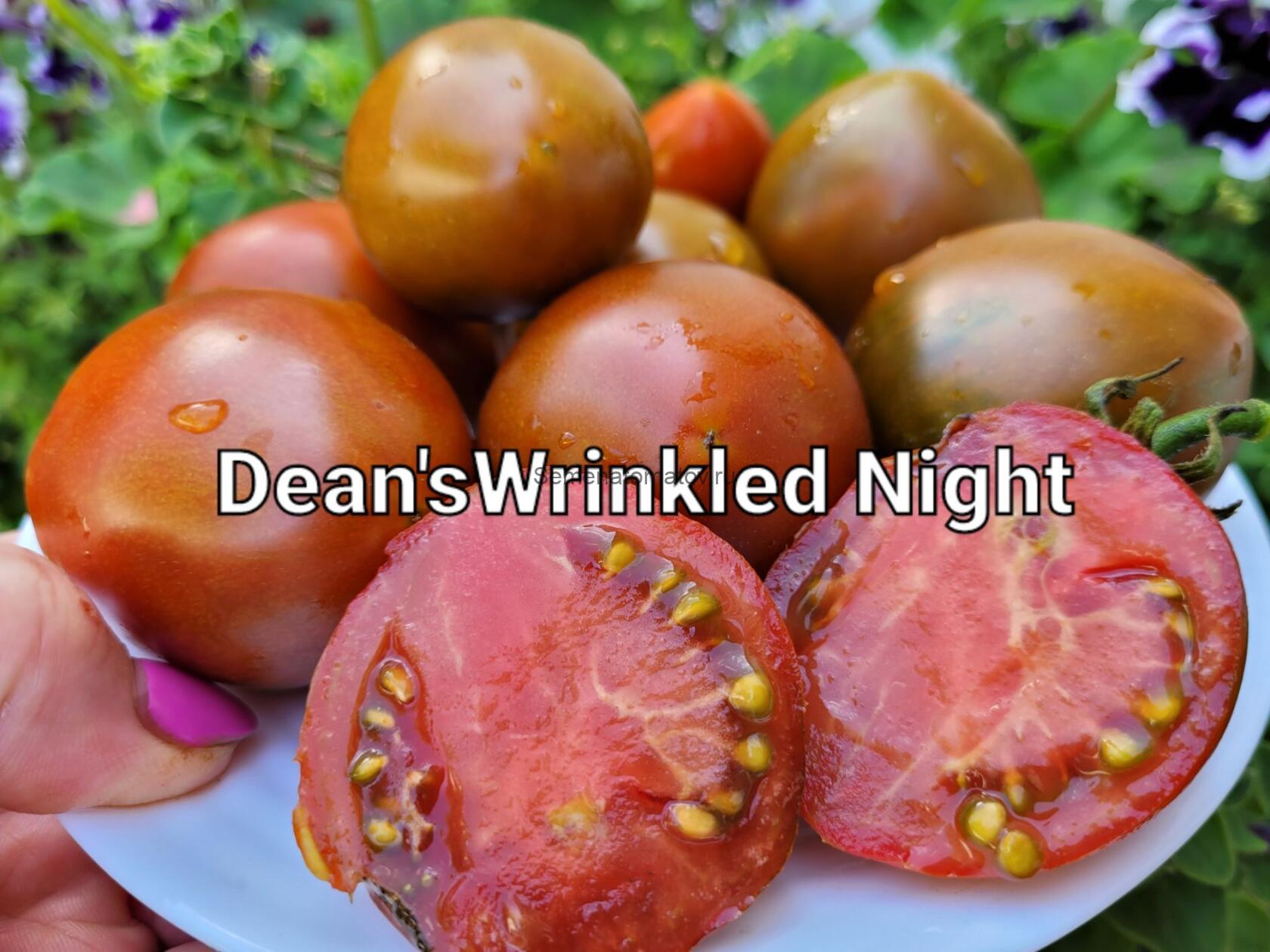 Dean's Wrinkled Night  Морщинистая Ночь Дина