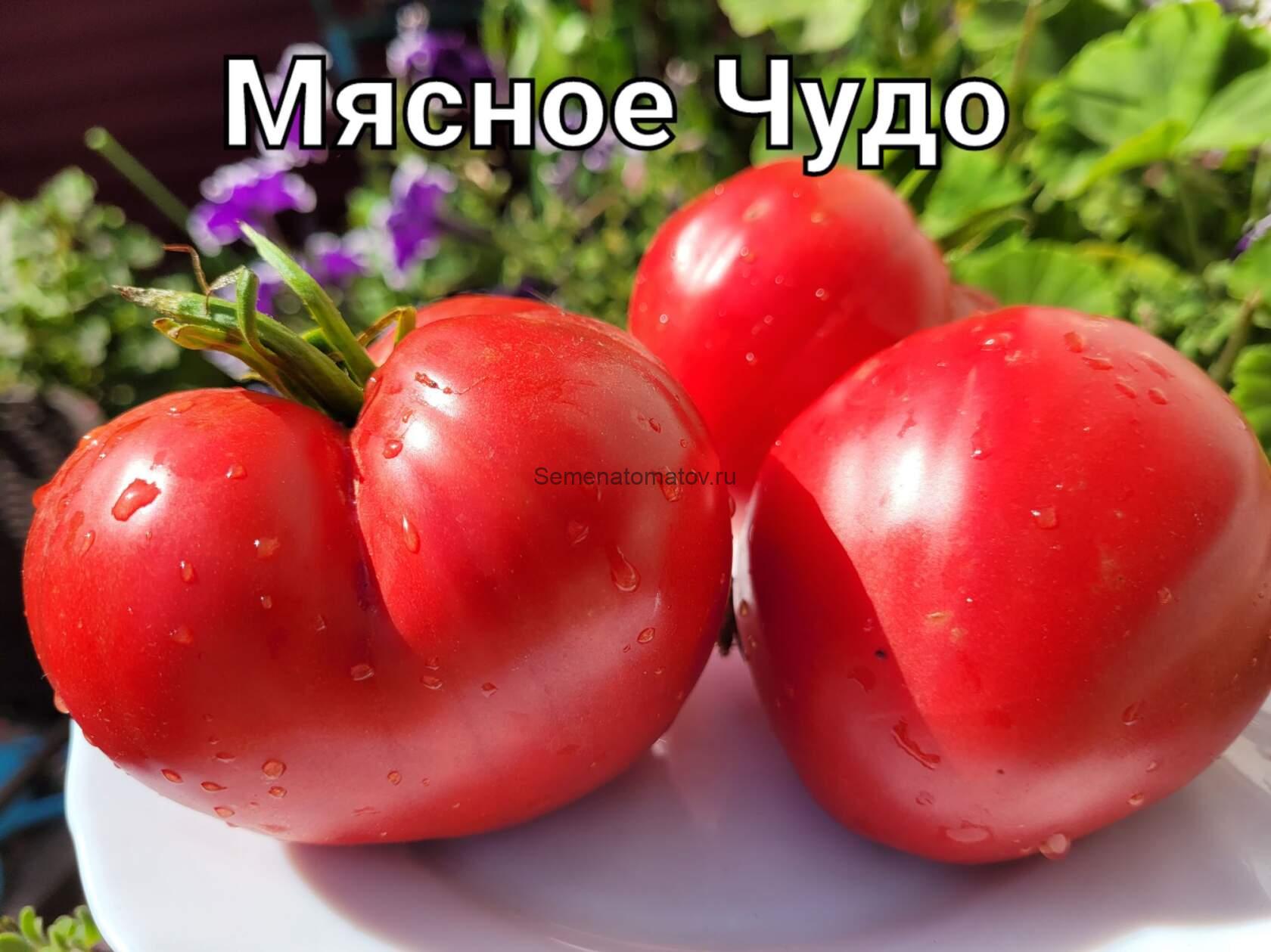 Мясное чудо /Fleish Wunder