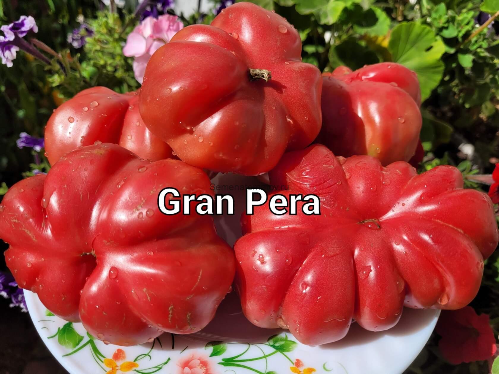 Gran pera Отличная груша