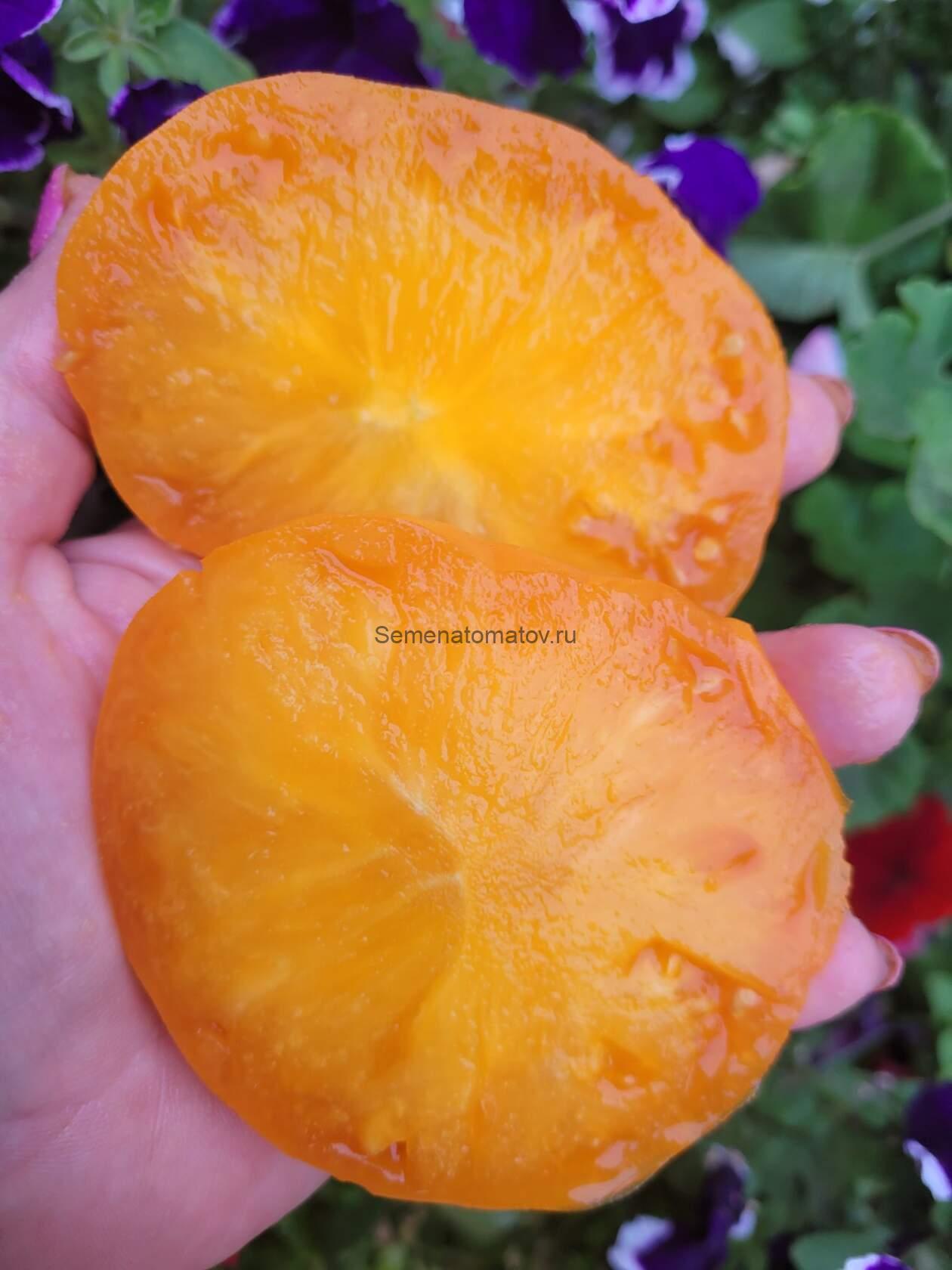 Harless creek gold-Золото Харлесс Крик — изображение 2