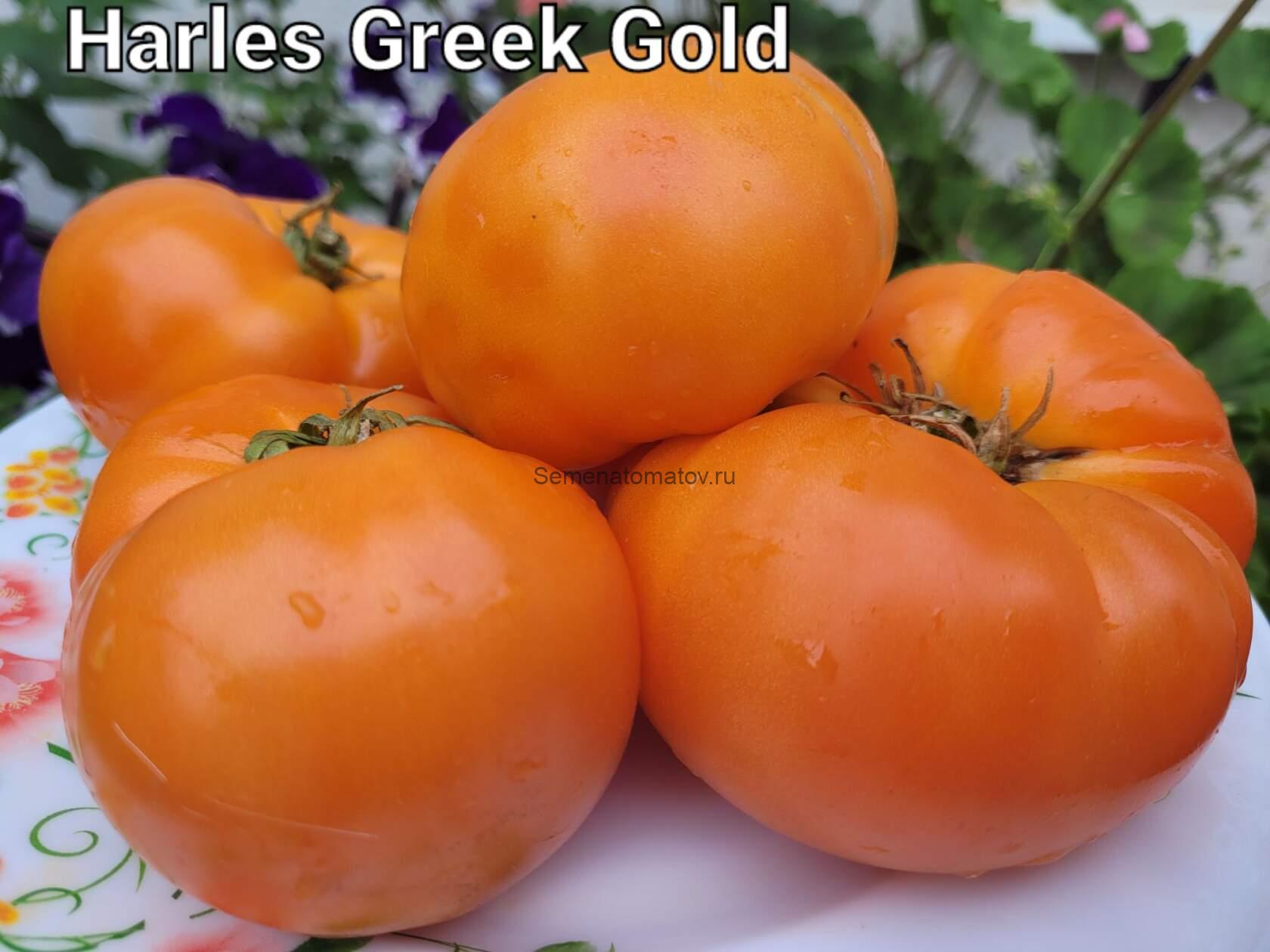 Harless creek gold-Золото Харлесс Крик