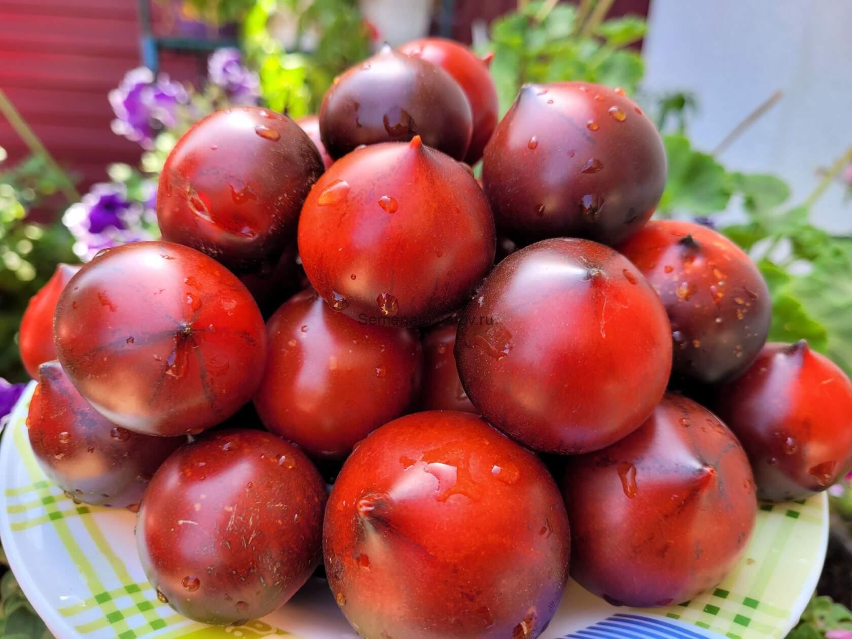 Heaven Oregon Небеса Орегона