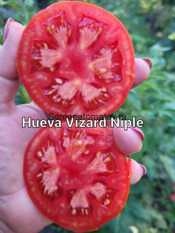 Hueva Vizard Niple — изображение 2