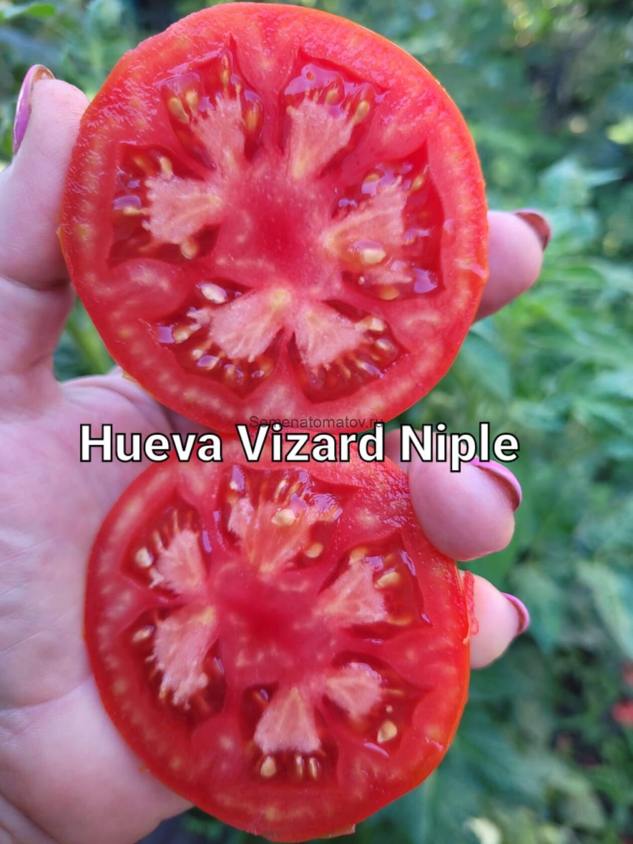 Hueva Vizard Niple — изображение 2