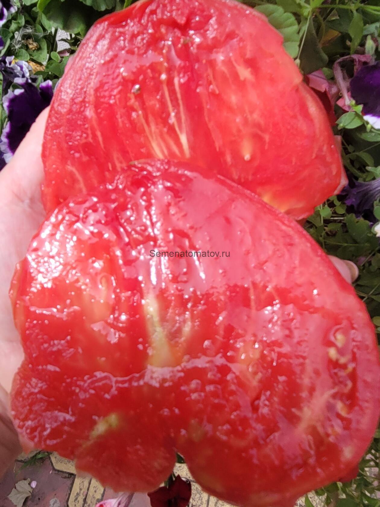 Ландсхутский великан ( Landshuter Riese, Германия) — изображение 2